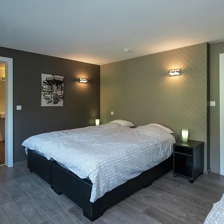 Modern Mansion In With Sauna And Private Pool Vakantiehuis *